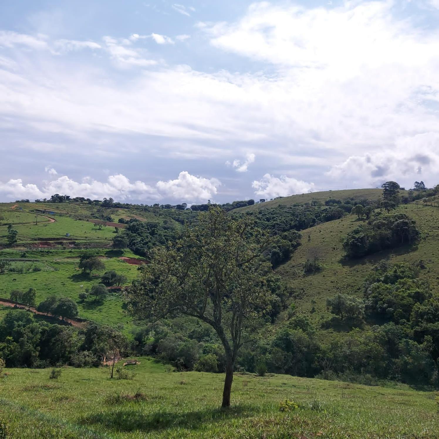 מלון Santa Rita do Rio Abaixo Fazenda Do Engenho מראה חיצוני תמונה