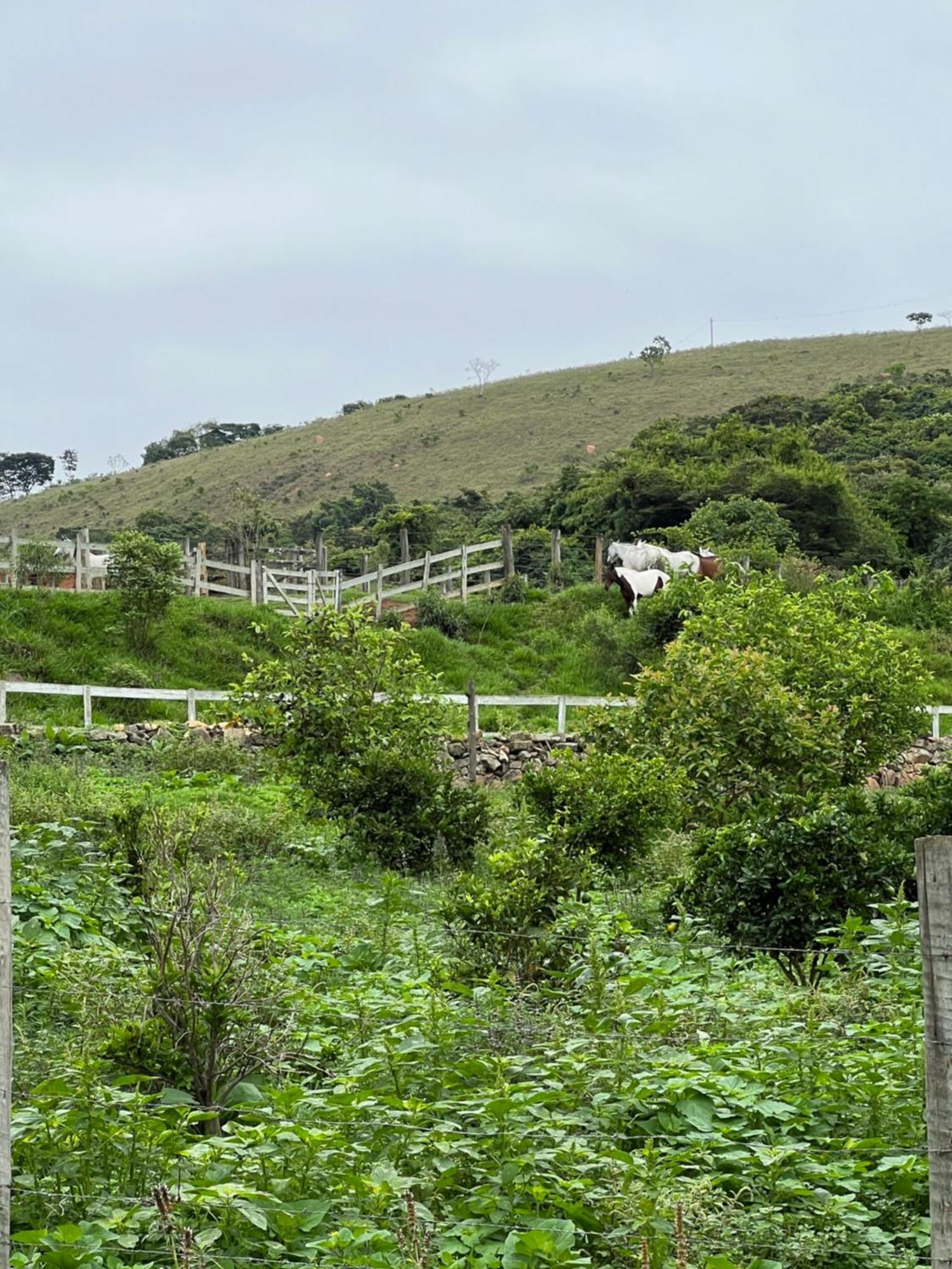 מלון Santa Rita do Rio Abaixo Fazenda Do Engenho מראה חיצוני תמונה