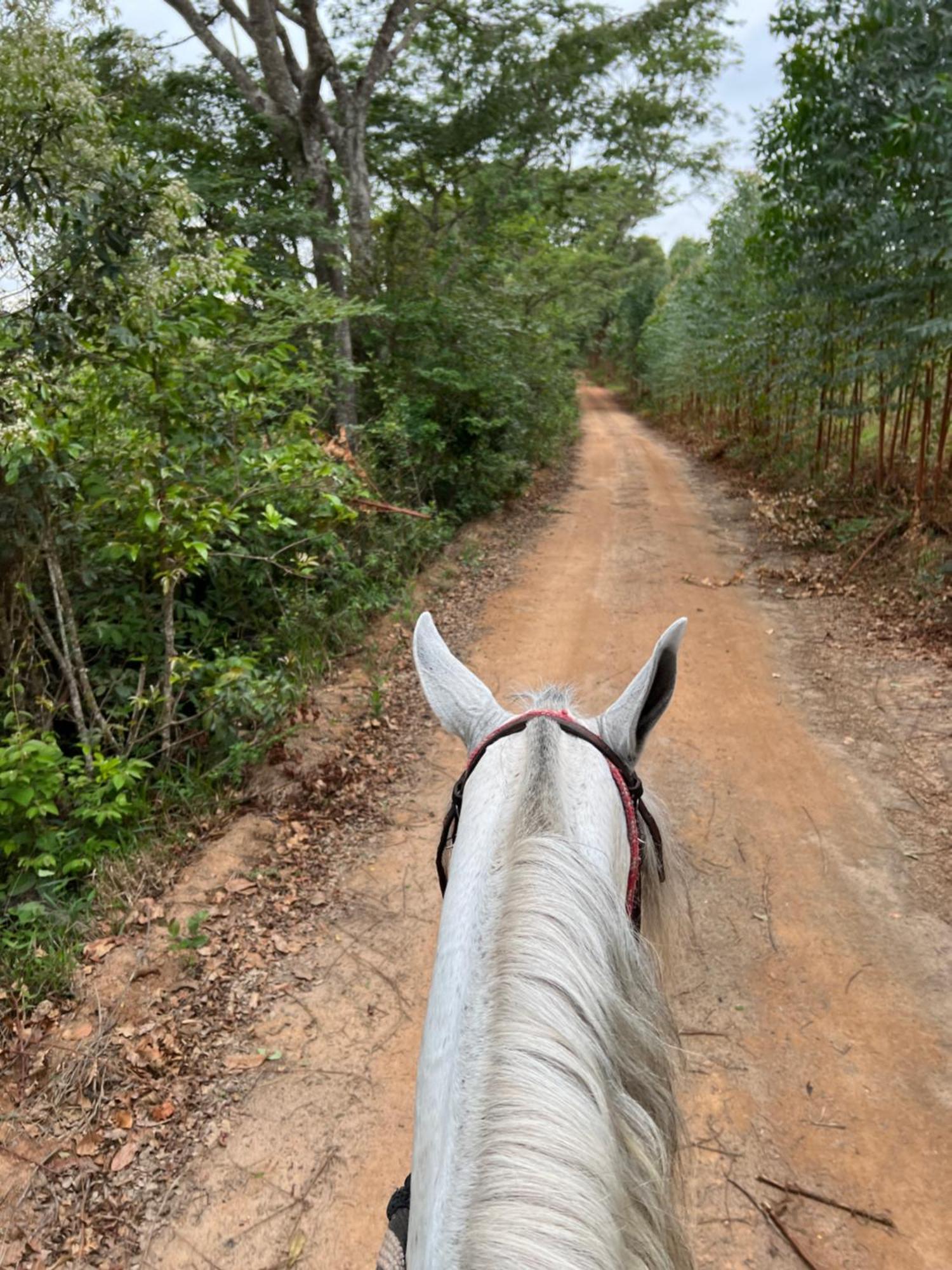מלון Santa Rita do Rio Abaixo Fazenda Do Engenho מראה חיצוני תמונה