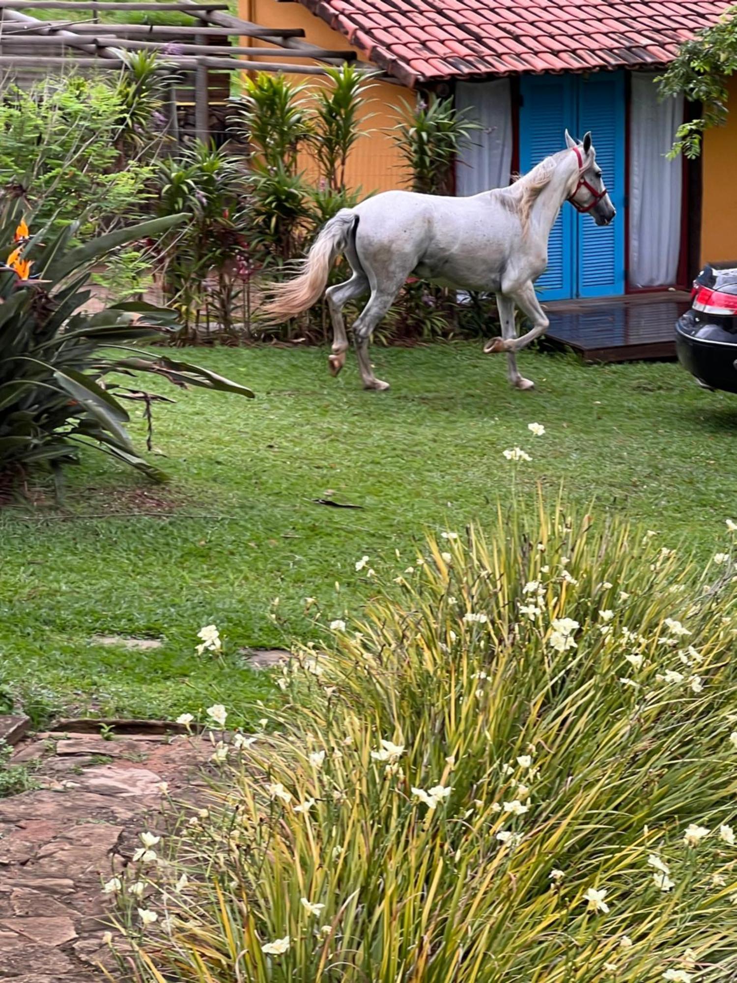 מלון Santa Rita do Rio Abaixo Fazenda Do Engenho מראה חיצוני תמונה