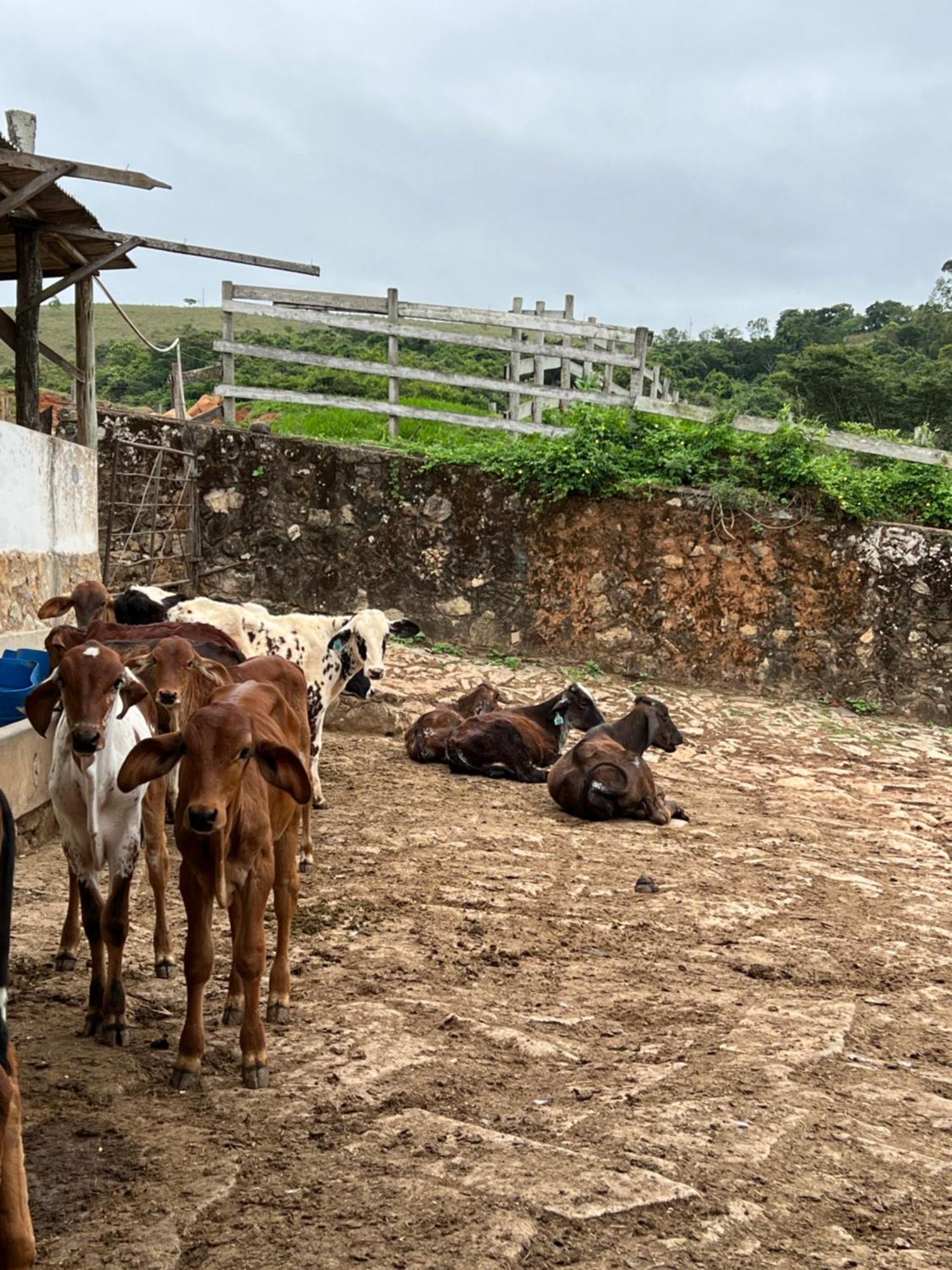 מלון Santa Rita do Rio Abaixo Fazenda Do Engenho מראה חיצוני תמונה