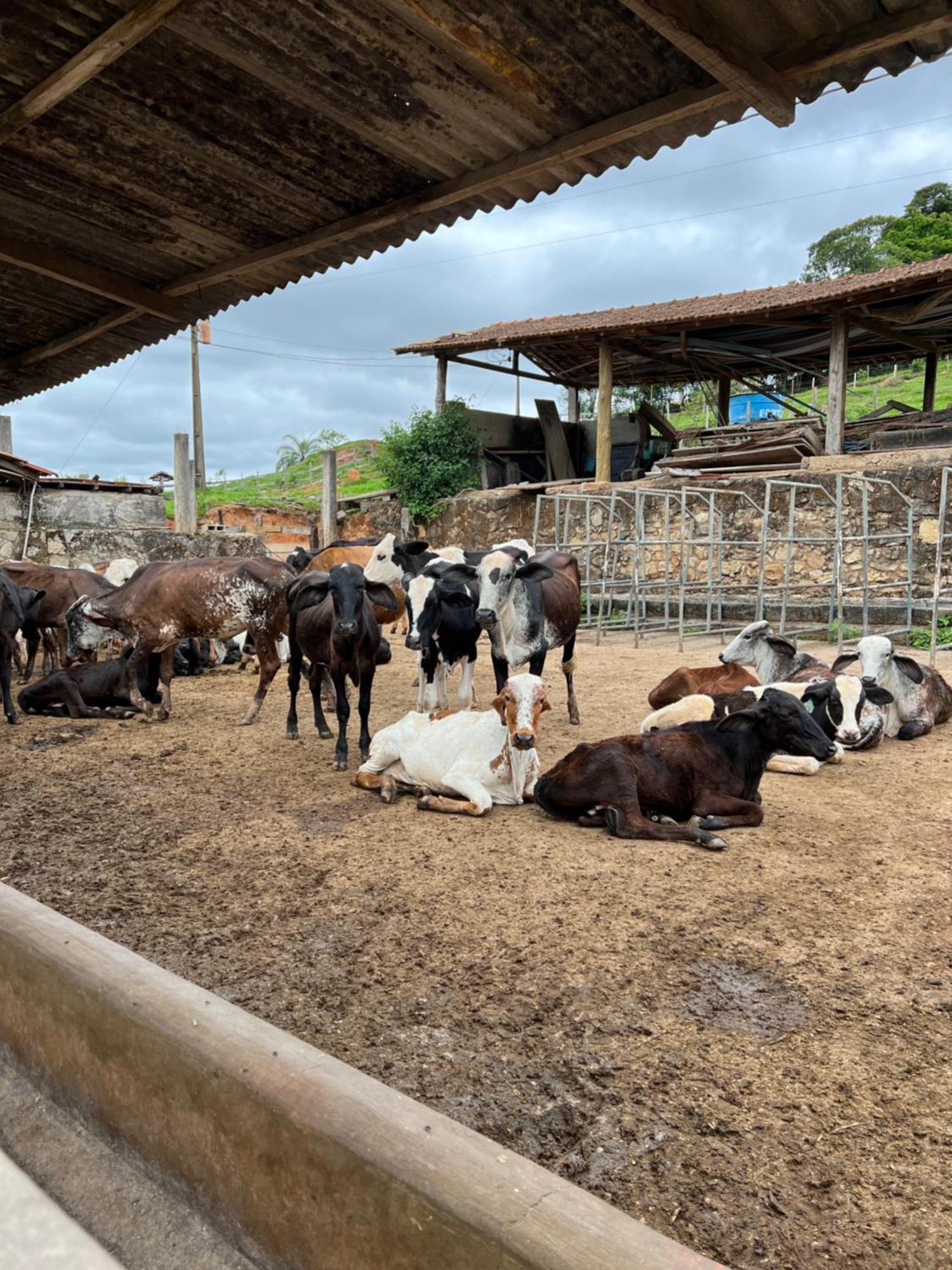 מלון Santa Rita do Rio Abaixo Fazenda Do Engenho מראה חיצוני תמונה