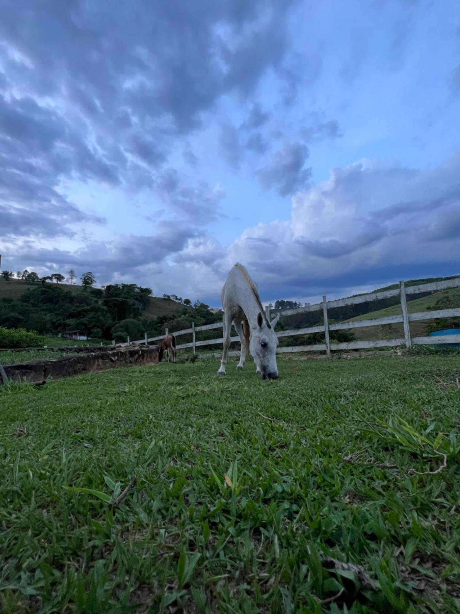 מלון Santa Rita do Rio Abaixo Fazenda Do Engenho מראה חיצוני תמונה