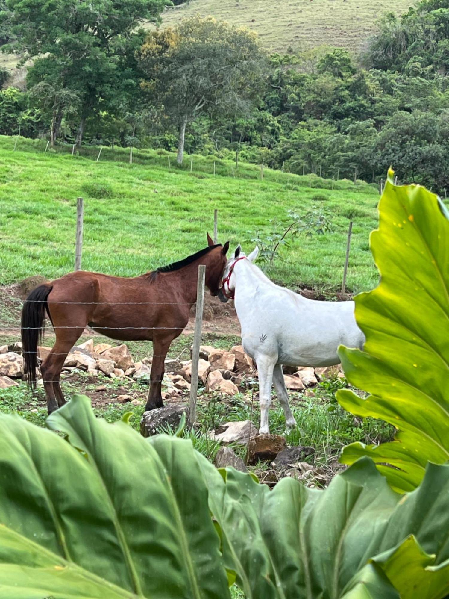 מלון Santa Rita do Rio Abaixo Fazenda Do Engenho מראה חיצוני תמונה